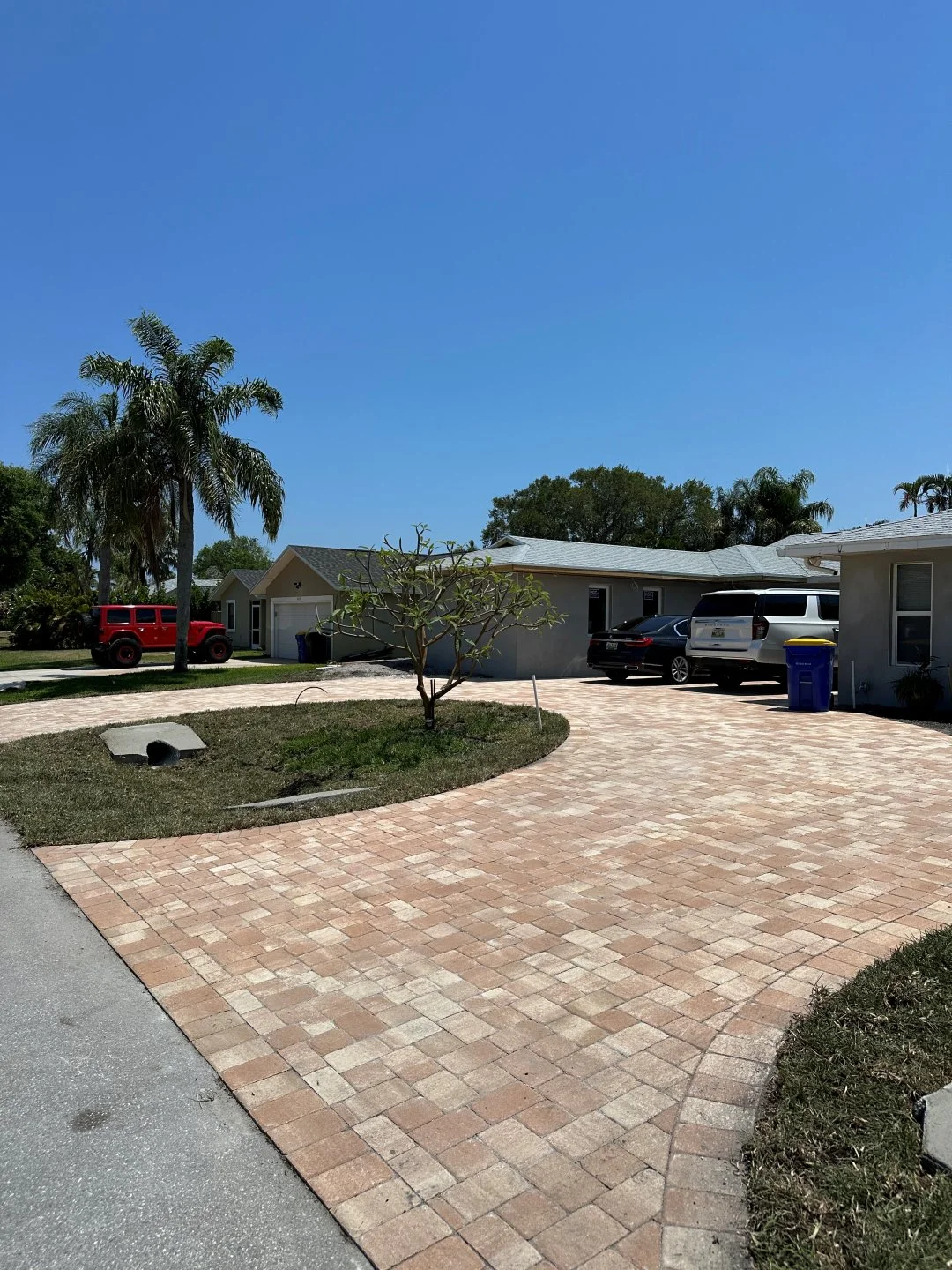 project4-02_Maranta Terrado